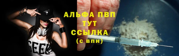 дмт Абаза