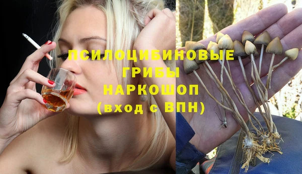 гашик Абдулино