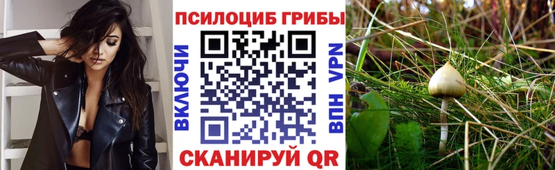 Галлюциногенные грибы Magic Shrooms цена наркотик Остров